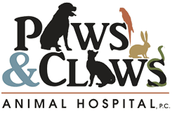 Paws & Claws Animal Hospital